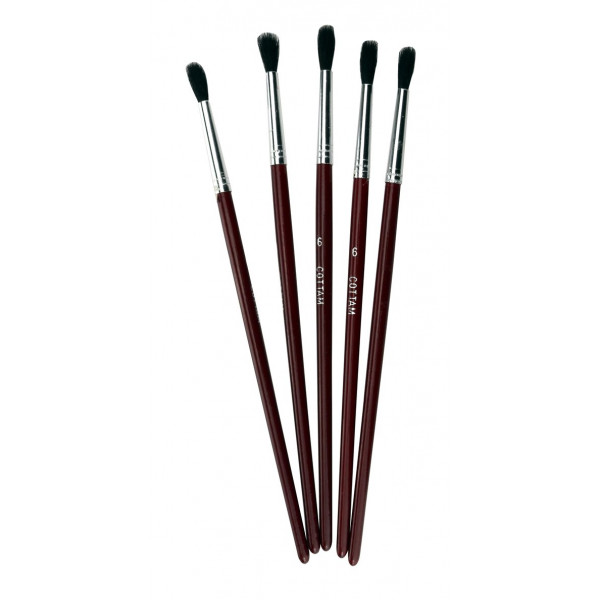 TouchUp Paint Brushes Size 6 Pack of 5 Car Smart