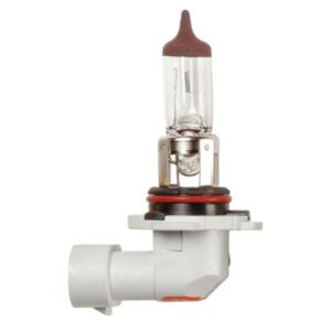 12V 60W HB3 P20d Halogen Headlamp Bulb