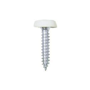 Number Plate Plastic Top Screws – White – Pack Of 50