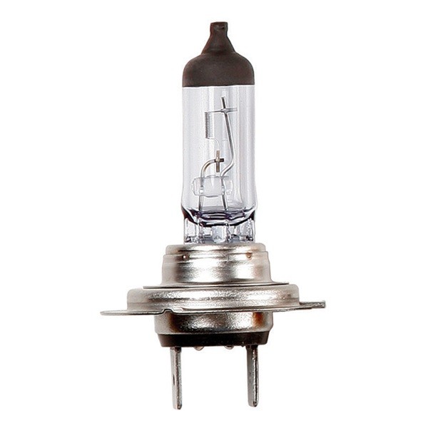 Halogen Bulb – 24V 70W H7 Px26S – Headlamp
